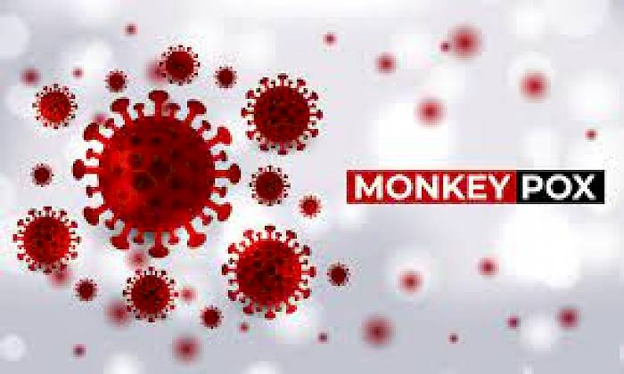 Monkey Pox virus in India: What is monkey pox virus? How it is transmitted? How to prevent? - A detailed blog.